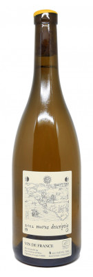 Alice et Olivier De Moor - Nuova Descriptio 2022