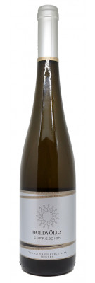 Holdvölgy - Expression 2018