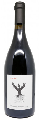 PSI - Dominio de Pingus 2019