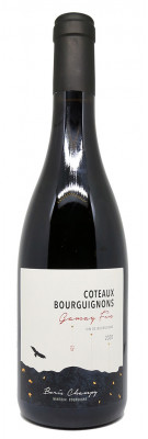 Domaine Boris Champy - Coteaux Bourguignons - Gamay Fin 2020