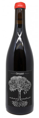 Jérôme Bretaudeau - Domaine de Bellevue - Ornaté 2023