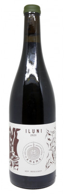 Domaine Amama Etxaldea - Iluni - Rouge 2023