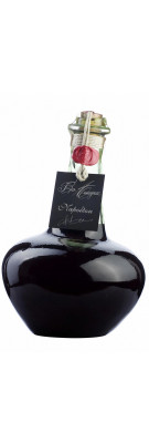 BAS ARMAGNAC - Baron Gaston Legrand - Pansue 2 litres - Napoleon  achat pas cher meilleur prix avis bon caviste bordeaux rare