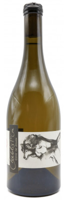 Domaine Pattes Loup - Chablis 1er Cru Côte de Jouan 2022