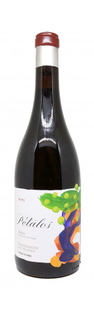 Descendientes de J. Palacios - Pétalos 2021