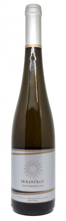 Holdvölgy - Expression 2018