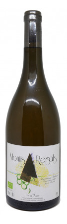 Dominique Andiran - Montis Regalis 2020