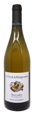Les Vignes Saint Vincent - Michel Delhommeau - Clos de la Bourgeonnais 2023