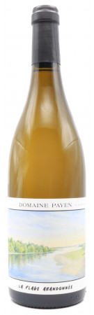 Domaine Payen - La Plage Abandonée - Savennières 2024
