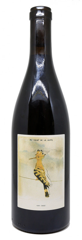 bouteille de vin rouge, &eacute;tiquette &eacute;l&eacute;gante, domaine henri chauvet, au chant de la huppe, vin nature, vin auvergne, fond neutre, ambiance terroir, style artisanal
