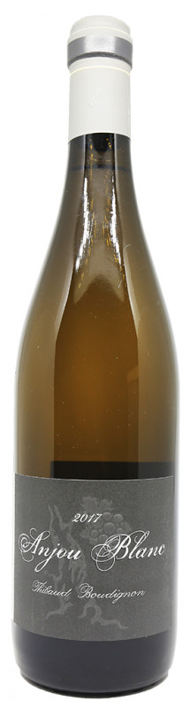 Thibaud Boudignon file tout droit vers les sommets des grandes signatures de la viticulture fran&ccedil;aise. Sa passion et son extr&ecirc;me rigueur dans tous les domaines du m&eacute;tier de vigneron en font un des tous meilleurs de la Loire et sans doute de tout l'hexagone... Des vins d'une extr&ecirc;me pr&eacute;cision, b&eacute;n&eacute;ficiant d'un &eacute;levage haute couture, d'une complexit&eacute; inou&iuml;e... D&eacute;j&agrave; sur les plus belles tables &eacute;toil&eacute;es, nous avons l'immense fiert&eacute; de pouvoir vous proposer quelques flacons des grands vins de Thibaud Boudignon. D&eacute;j&agrave; de grandes raret&eacute;s...